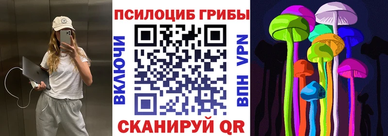 Галлюциногенные грибы Magic Shrooms  Покровск 